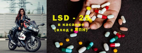твердый Артём