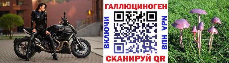нарко площадка официальный сайт  Рыбинск  Псилоцибиновые грибы Psilocybe 