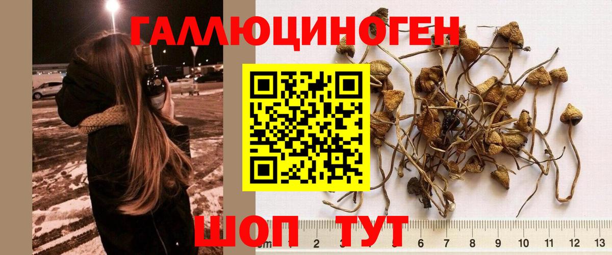 Псилоцибиновые грибы мухоморы Рыбинск