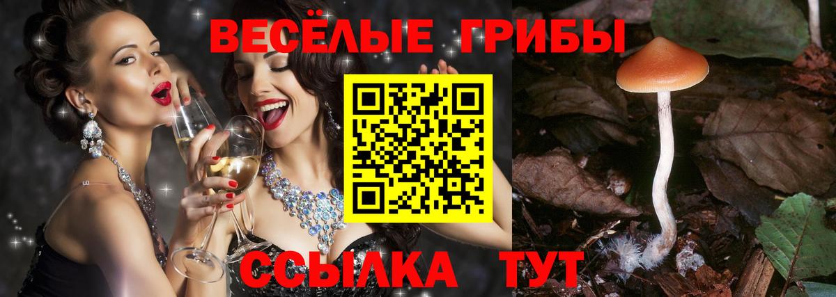 Псилоцибиновые грибы MAGIC MUSHROOMS Рыбинск